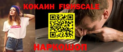 твердый Гусев