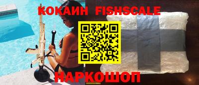 твердый Гусев
