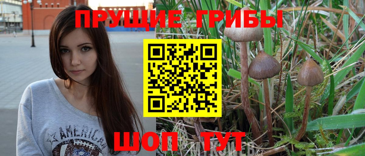 Галлюциногенные грибы мухоморы  Галлюциногенные грибы GOLDEN TEACHER  Луга  где можно купить наркотик  Вход с VPN 